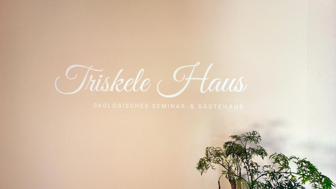 Triskele Haus - Oekologisches Gaestehaus Der Heilstaette Strelitz Нойштрелиц Экстерьер фото